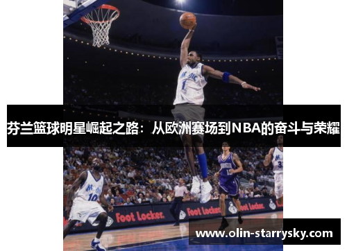 芬兰篮球明星崛起之路：从欧洲赛场到NBA的奋斗与荣耀